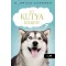 Egy kutya ígérete - W. Bruce Cameron
