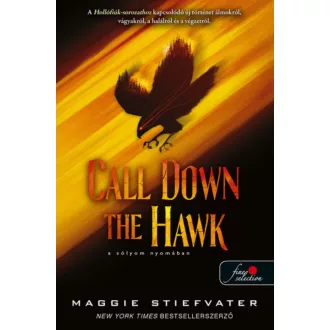 Call Down the Hawk - A sólyom nyomában - Maggie Stiefvater