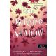 The Burning Shadow - Lángoló árny - Jennifer L Armentrout