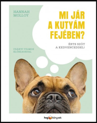 Mi jár a kutyám fejében? - Hannah Molloy