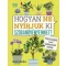 Hogyan ne nyírjuk ki szobanövényeinket? - Veronica Peerless