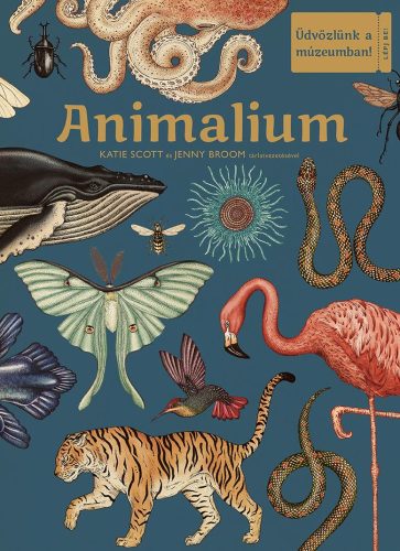 Animalium -  Üdvözlünk a múzeumban! - Katie Scott