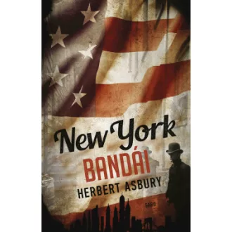 New York bandái - Herbert Asbury