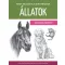 Nagy rajziskola mindenkinek - Állatok (Gyakorlókönyv) - Walter Foster