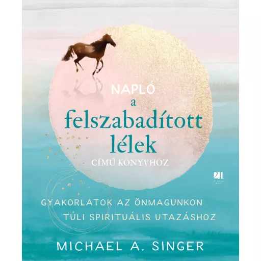 Napló a Felszabadított lélek című könyvhöz - Michael A. Singer