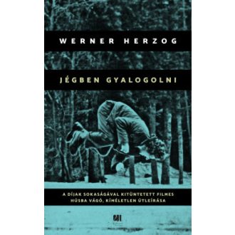 Jégben gyalogolni - Werner Herzog
