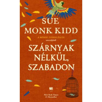 Szárnyak nélkül, szabadon - Sue Monk Kidd