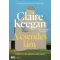 A csendes lány - Claire Keegan