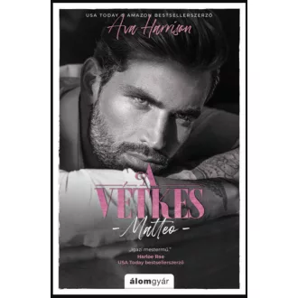 A vétkes - Matteo - Ava Harrison