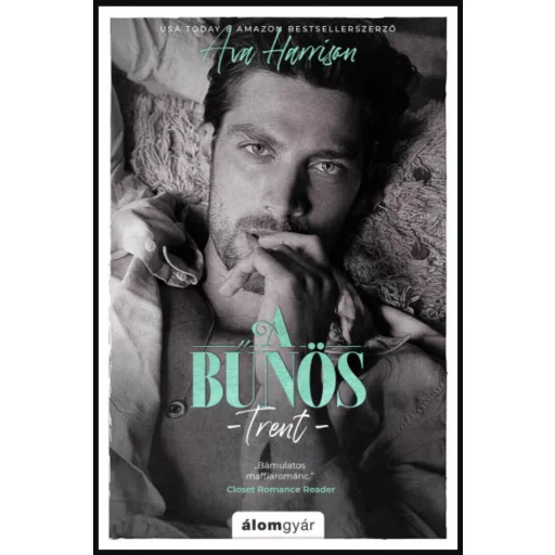 A bűnös - Trent - Ava Harrison