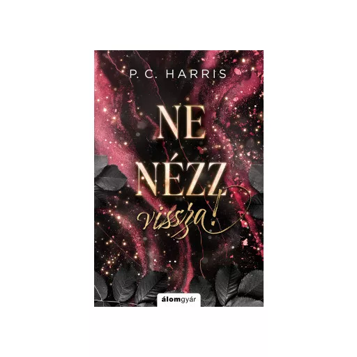 Ne nézz vissza! (Éldekorált) - P. C. Harris