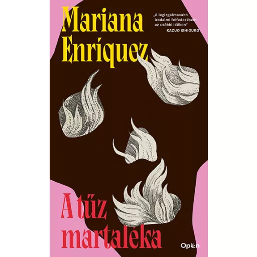 A tűz martaléka - Mariana Enriquez