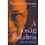 A jóság hatalma - A dalai láma jövőképe - Daniel Goleman