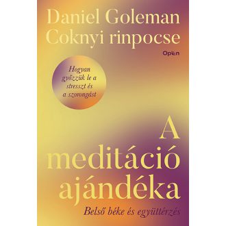 A meditáció ajándéka - Daniel Goleman