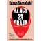 Az agy 24 órája - Susan Greenfield