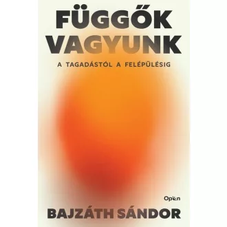   Függők vagyunk - A tagadástól a felépülésig - Bajzáth Sándor