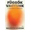 Függők vagyunk - A tagadástól a felépülésig - Bajzáth Sándor