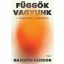 Függők vagyunk - A tagadástól a felépülésig - Bajzáth Sándor