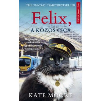 Felix, a közös cica - Kate Moore