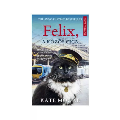 Felix, a közös cica - Kate Moore