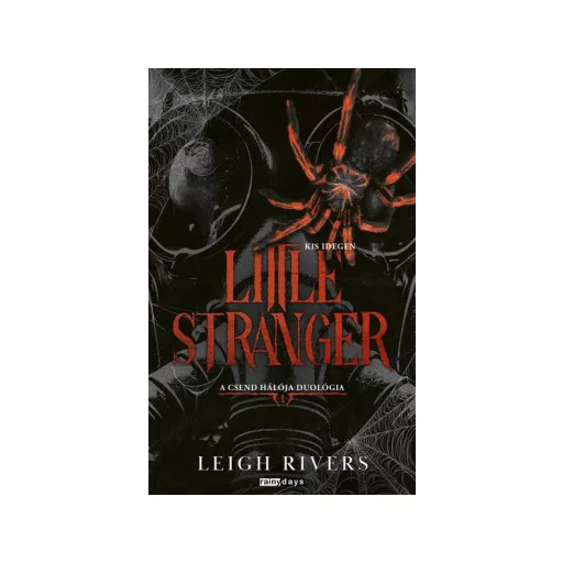 Little Stranger - Kis idegen (Éldekorált) - Leigh Rivers