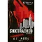 Sidetracked - Eltérítve - S. T. Abby