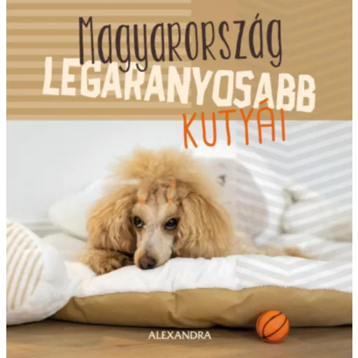 Magyarország legaranyosabb kutyái