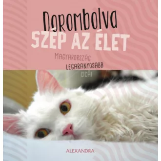 Dorombolva szép az élet