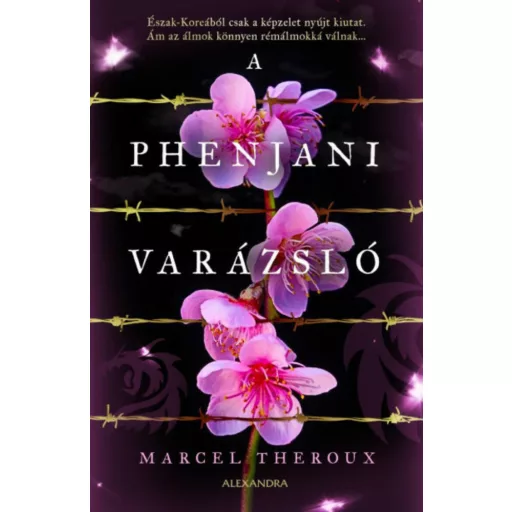 A phenjani varázsló - Marcel Theorux