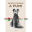 Nemzeti kincsünk - A pumi