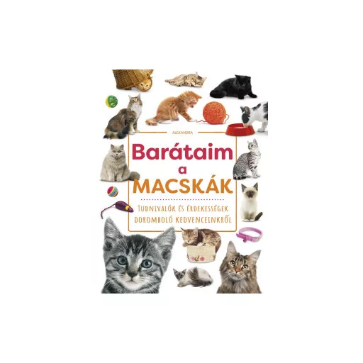 Barátaim, a macskák