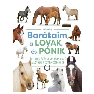 Barátaim, a lovak és pónik