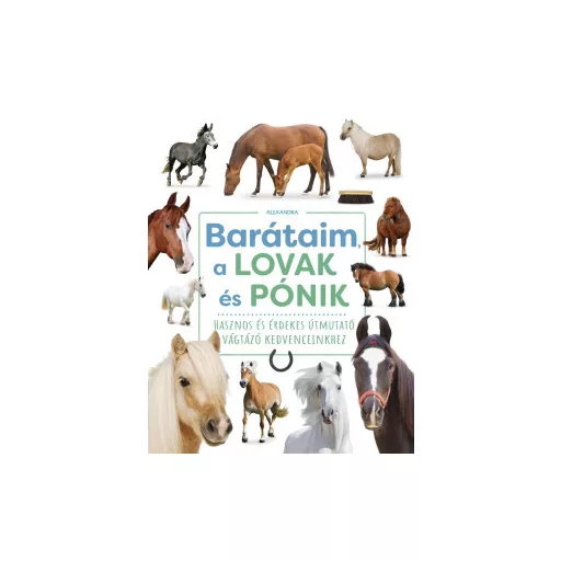 Barátaim, a lovak és pónik