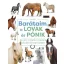 Barátaim, a lovak és pónik