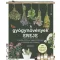 A gyógynövények ereje