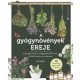 A gyógynövények ereje
