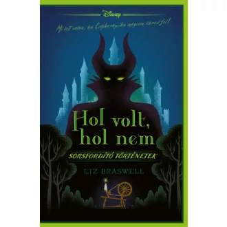 Disney - Hol volt, hol nem - Liz Braswell