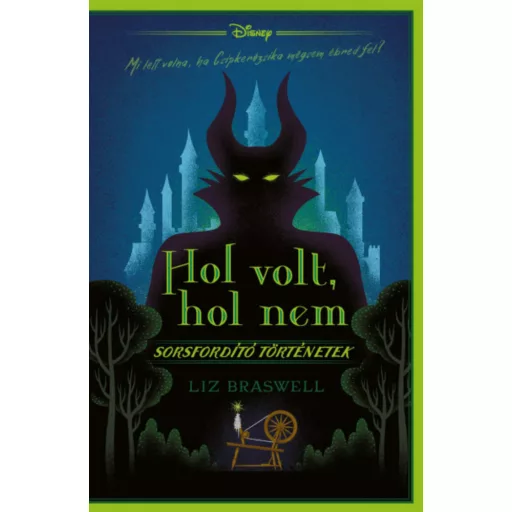 Disney - Hol volt, hol nem - Liz Braswell