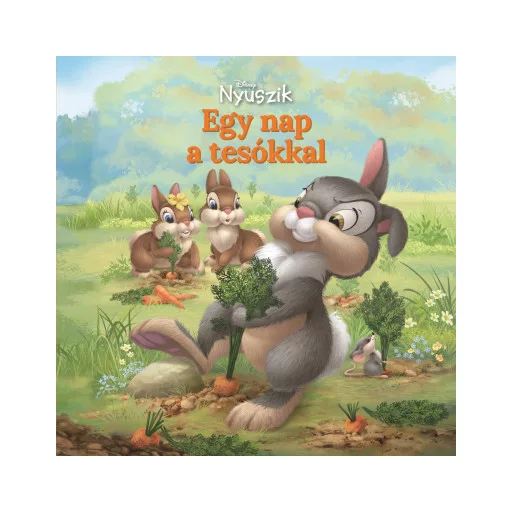 Disney Nyuszik - Egy nap a tesókkal - Jacqueline Resnick