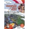 Vidámpark a város fölött - Bojti Anna