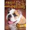 Angol bulldog - Gazdiképző kisokos /Állattartók kézikönyve (Válogatás)