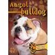 Angol bulldog - Gazdiképző kisokos /Állattartók kézikönyve (Válogatás)