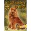 Angol cocker spániel - Gazdiképző kisokos /Állattartók kézikönyve (Válogatás)
