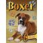 Boxer - Gazdiképző kisokos /Állattartók kézikönyve (Válogatás)