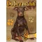 Dobermann - Gazdiképző kisokos /Állattartók kézikönyve (Válogatás)