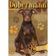 Dobermann - Gazdiképző kisokos /Állattartók kézikönyve (Válogatás)
