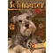 Schnauzer - Gazdiképző kisokos /Állattartók kézikönyve (Válogatás)