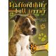 Staffordshire bull terrier - Gazdiképző kisokos /Állattartók kézikönyve (Válogatás)