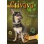 Csivava - Gazdiképző kisokos /Állattartók kézikönyve (Válogatás)