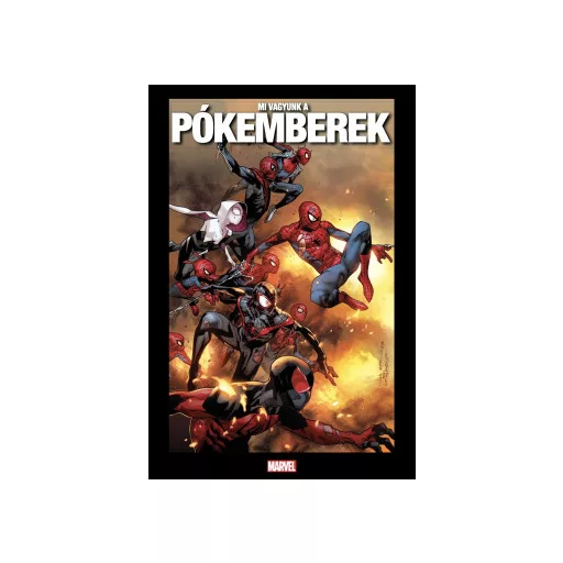 Mi vagyunk a Pókemberek